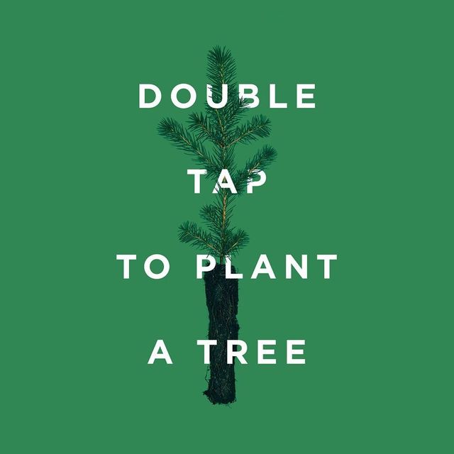 ТОП 10 найпопулярніших публікацій в Instagram у 2019 році - фото 372446