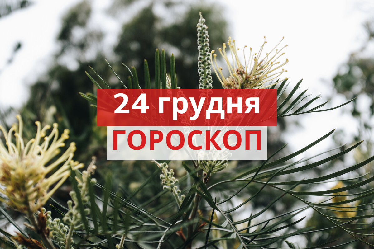 Гороскоп на 24 грудня 2019: прогноз для всіх знаків Зодіаку