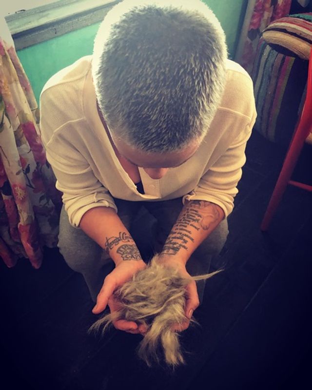 Співачка Pink кардинально змінила імідж - фото 372683