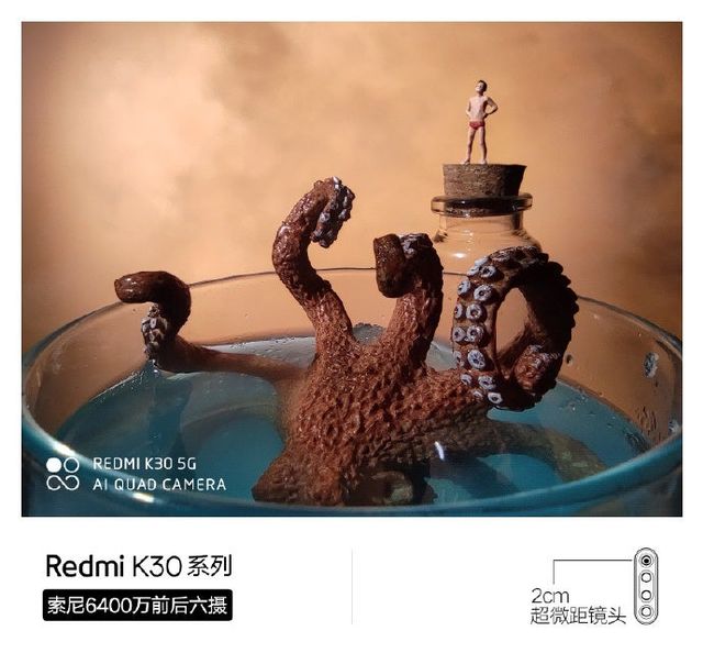 У мережі з'явились макрофото, зроблені на камеру смартфона Redmi K30 - фото 372686