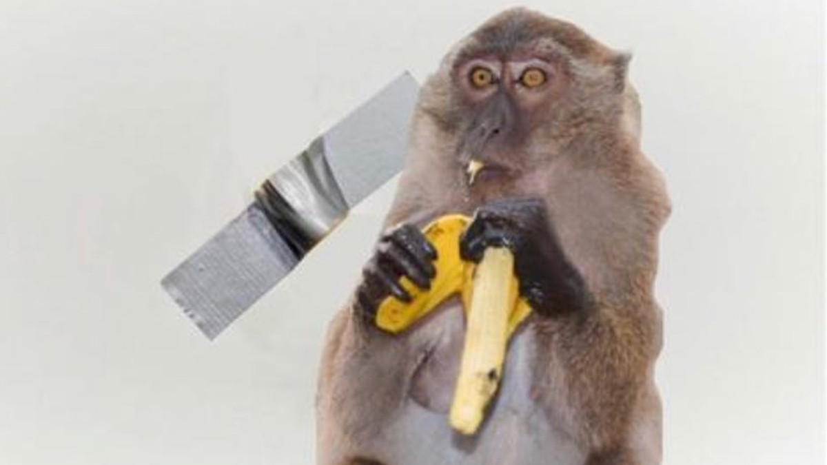 Користувачі мережі висміяли інсталяцію з бананом і скотчем у кумедних мемах - фото 1