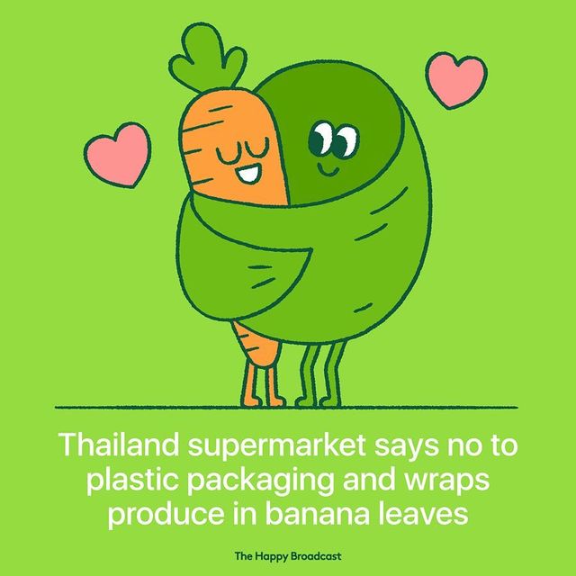 Добірка хороших новин 2019 року для тих, хто втомився від негативу - фото 373390