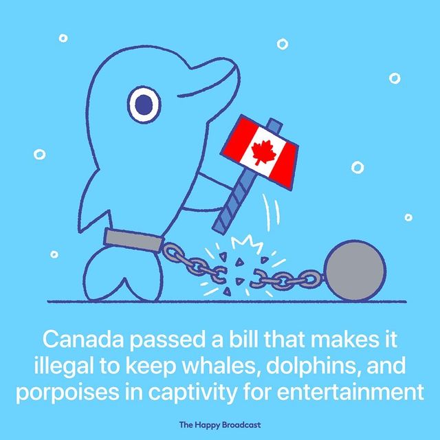 Добірка хороших новин 2019 року для тих, хто втомився від негативу - фото 373397