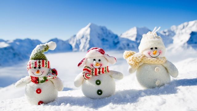 Новий 2020 рік в Карпатах - фото 373461