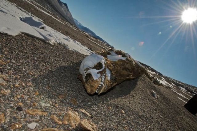 Найдивніше місце на Землі, де дощів не бачили 2 мільйони років - фото 374262