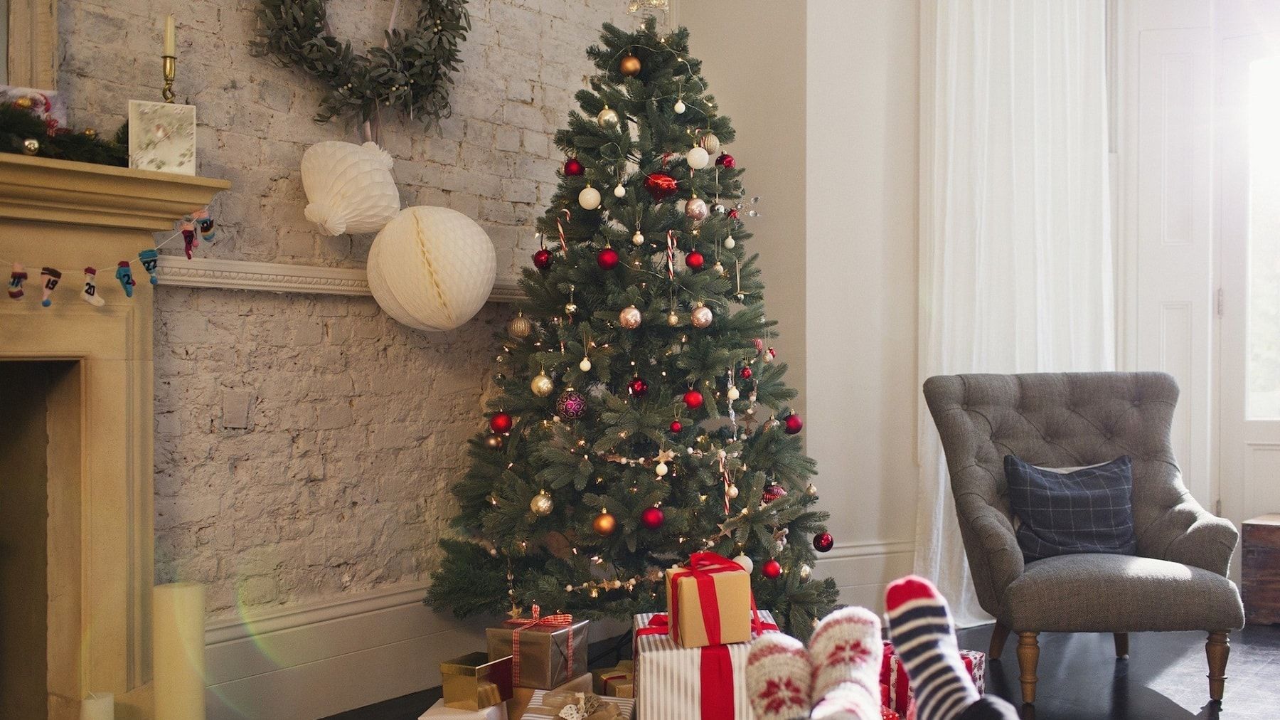 Уляна Супрун розповіла, як вибрати новорічну ялинку без шкоди для середовища