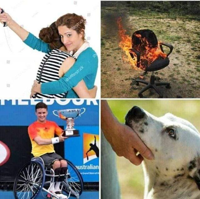 Головні меми 2019 року: курйози і приколи, над якими сміявся увесь світ - фото 374642