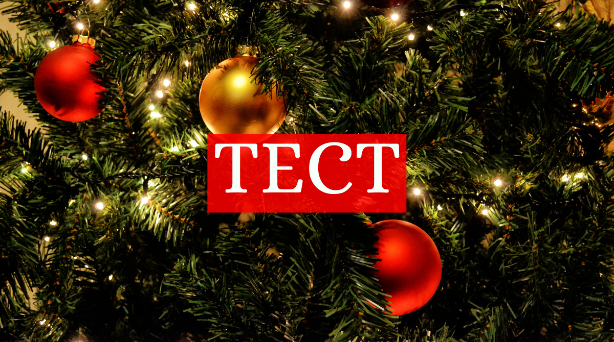 У якій країні стоїть ця новорічна ялинка - фото 1