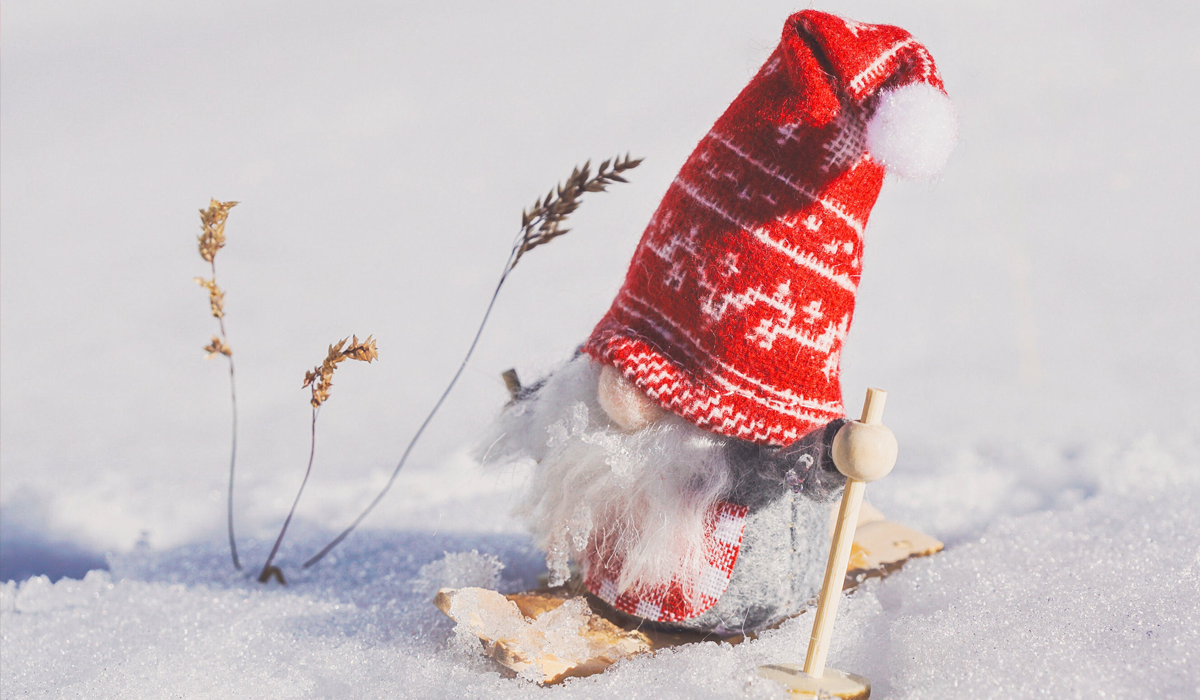 Грудень 2019 дивує погодою! - фото 1