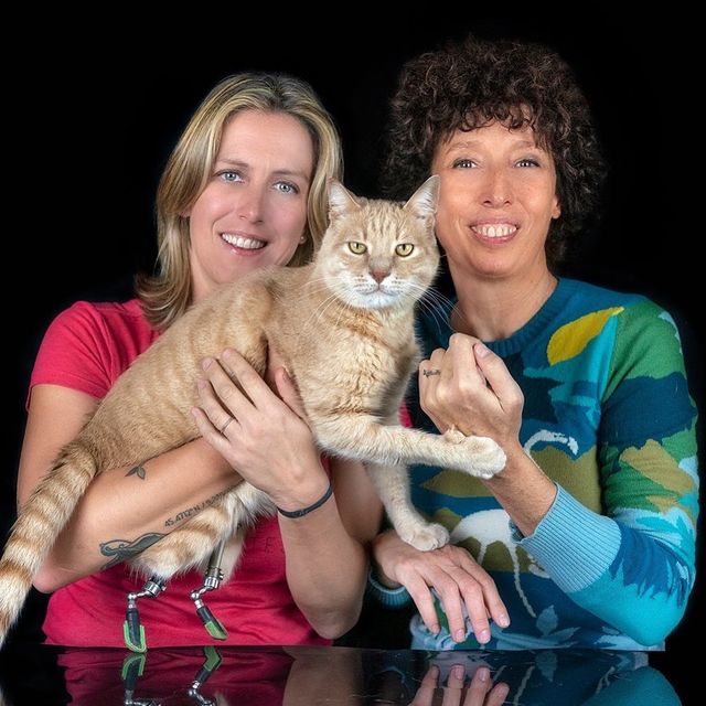 Цей кіт став зіркою мережі завдяки своїй особливості - фото 374856