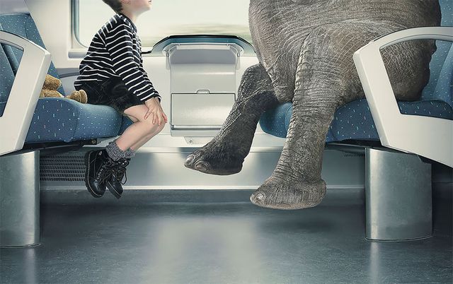 Кумедна реклама бельгійця, яка змусить затримати погляд - фото 374978