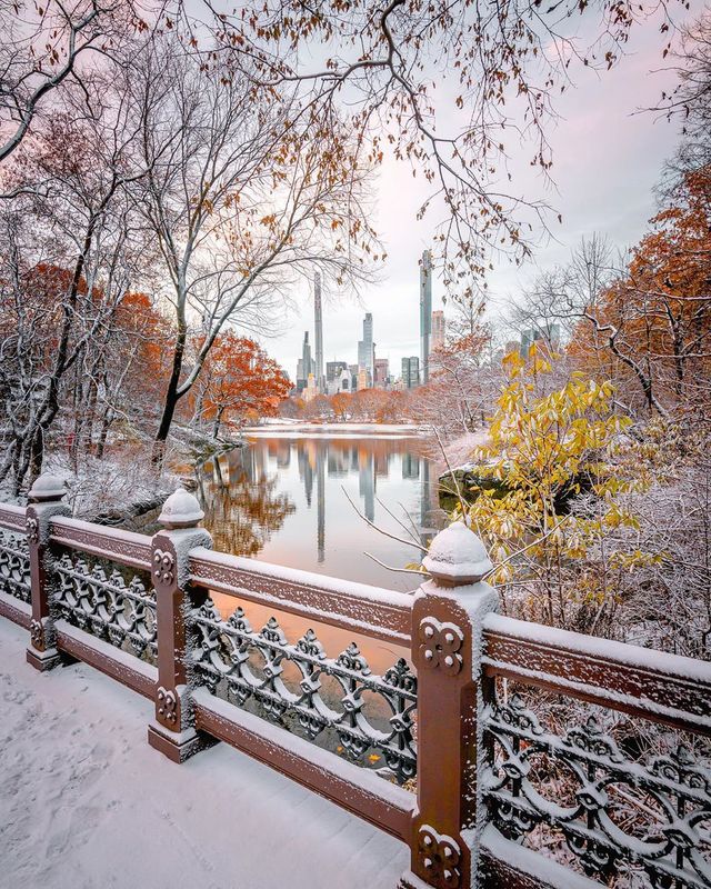 Життя у Нью-Йорку на вуличних фото: яскраві кадри - фото 375100