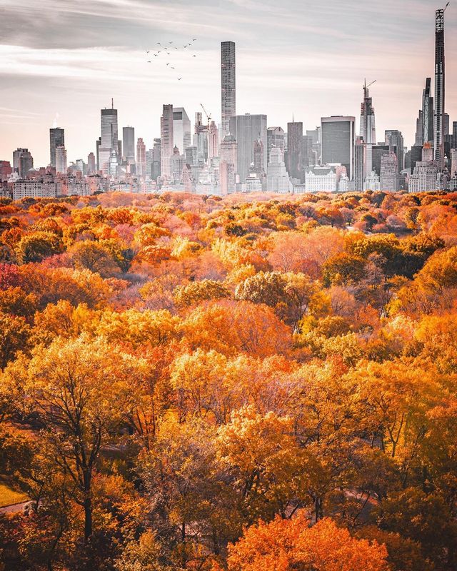 Життя у Нью-Йорку на вуличних фото: яскраві кадри - фото 375101