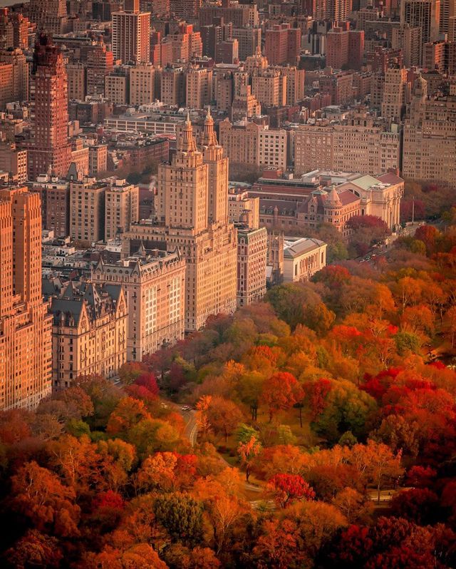 Життя у Нью-Йорку на вуличних фото: яскраві кадри - фото 375103