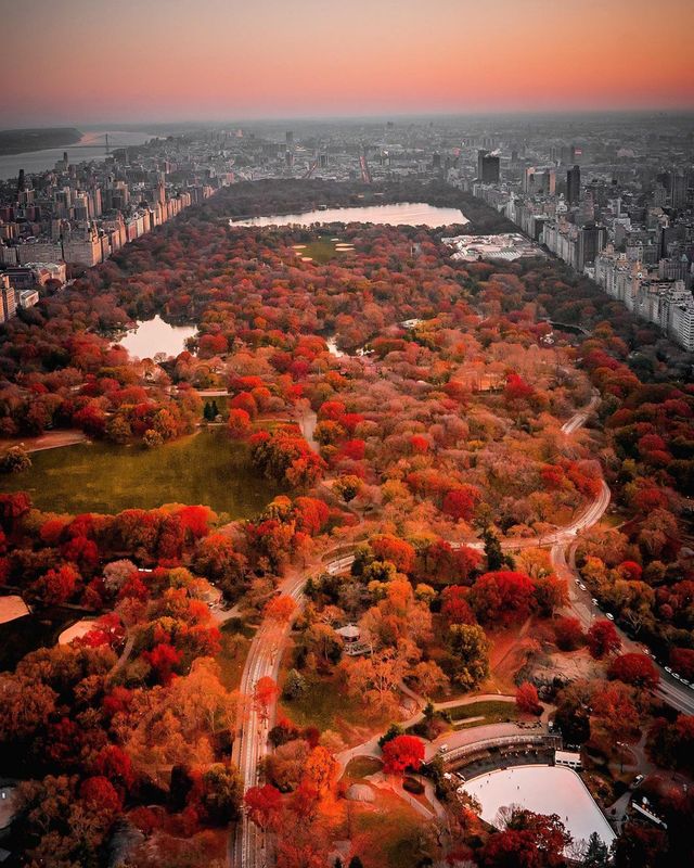 Життя у Нью-Йорку на вуличних фото: яскраві кадри - фото 375106