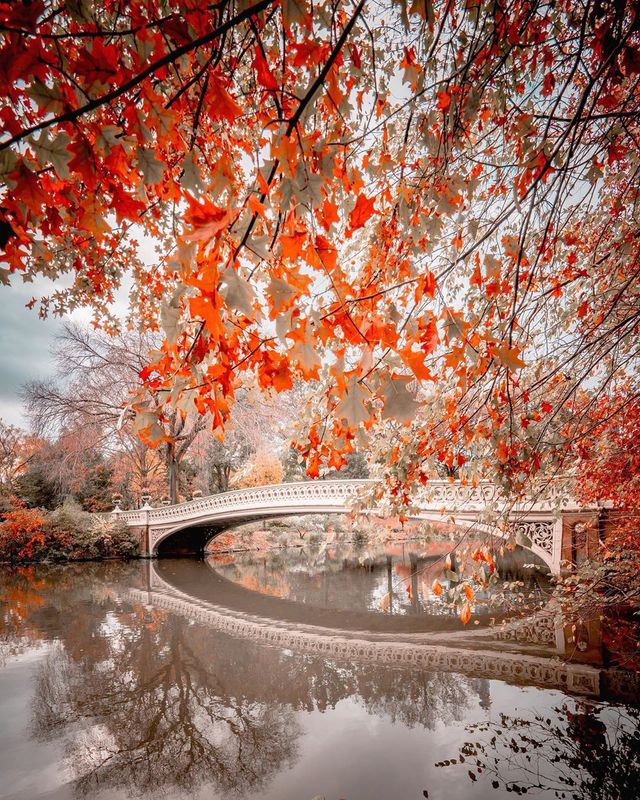 Життя у Нью-Йорку на вуличних фото: яскраві кадри - фото 375108