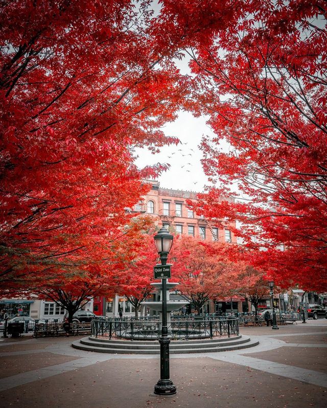 Життя у Нью-Йорку на вуличних фото: яскраві кадри - фото 375115