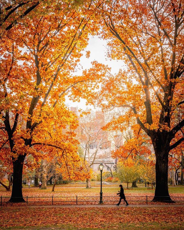 Життя у Нью-Йорку на вуличних фото: яскраві кадри - фото 375116