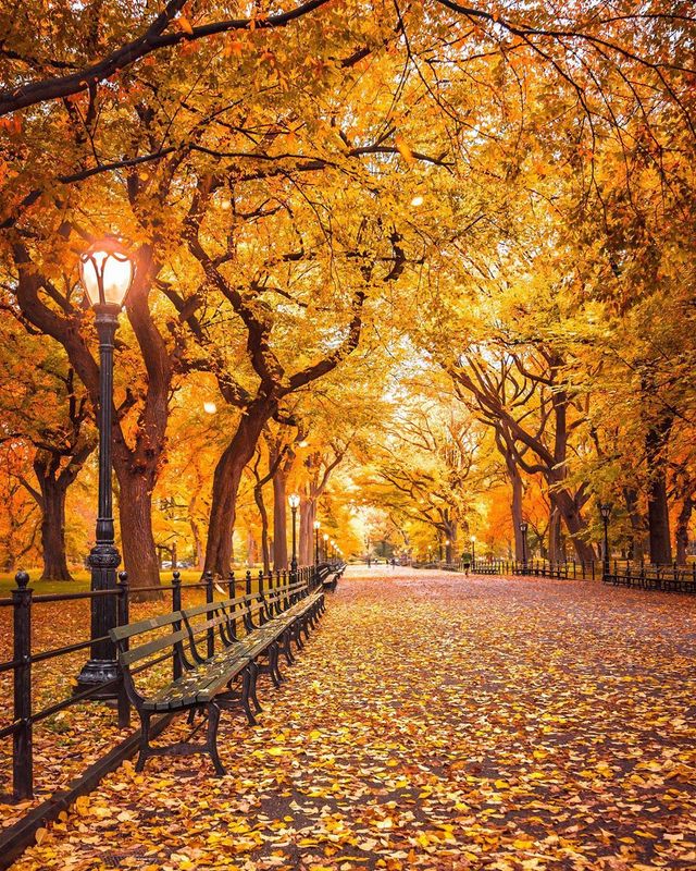 Життя у Нью-Йорку на вуличних фото: яскраві кадри - фото 375119