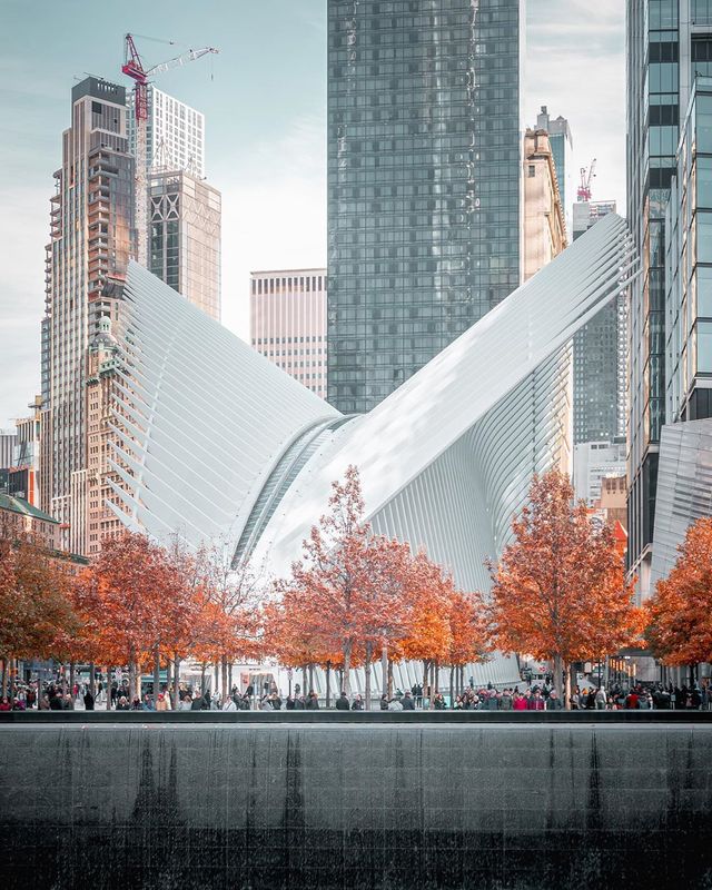 Життя у Нью-Йорку на вуличних фото: яскраві кадри - фото 375120