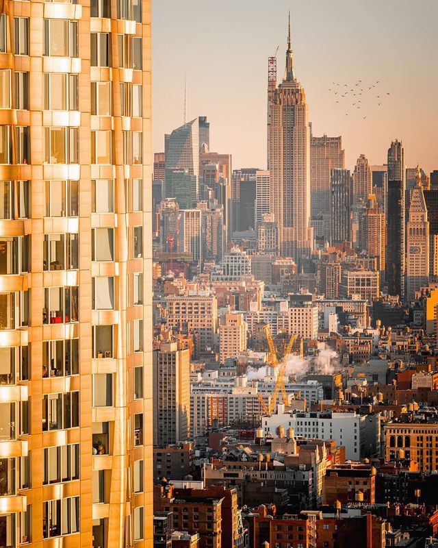Життя у Нью-Йорку на вуличних фото: яскраві кадри - фото 375121