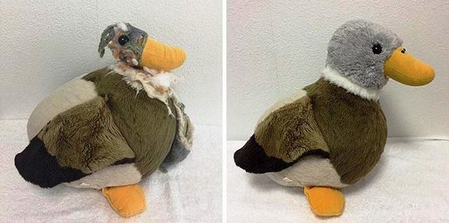 У Японії відкрилася 'лікарня' для м'яких іграшок - фото 375203