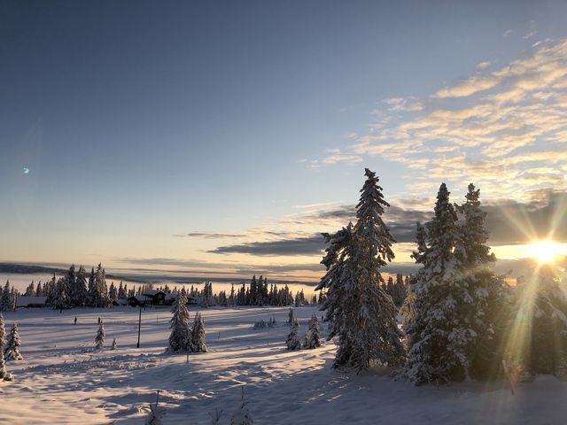 День зимового сонцестояння 2024: що можна і не можна робити 21 грудня - фото 375365