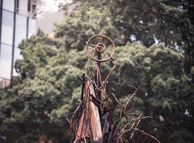 В Австралії поставили ялинку зі спалених гілок, і ось чому - фото 375399