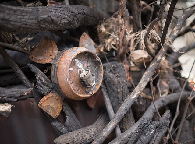 В Австралії поставили ялинку зі спалених гілок, і ось чому - фото 375400