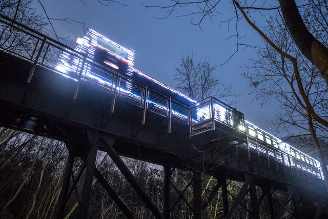 Полярний експрес: у мережі показали атмосферні кадри з дитячої залізниці у Києві - фото 375682