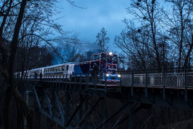Полярний експрес: у мережі показали атмосферні кадри з дитячої залізниці у Києві - фото 375684