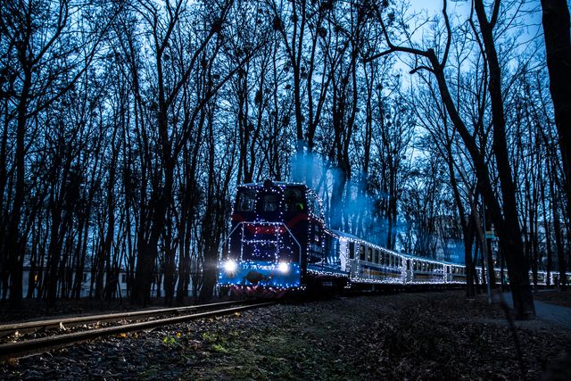 Полярний експрес: у мережі показали атмосферні кадри з дитячої залізниці у Києві - фото 375685