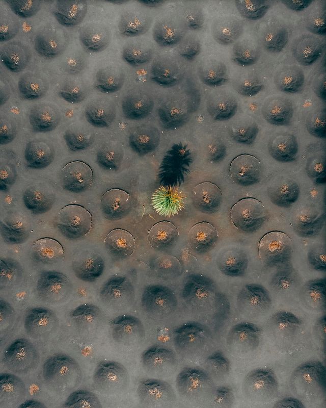 Фотограф показала шматочок Марсу на нашій планеті - фото 375710