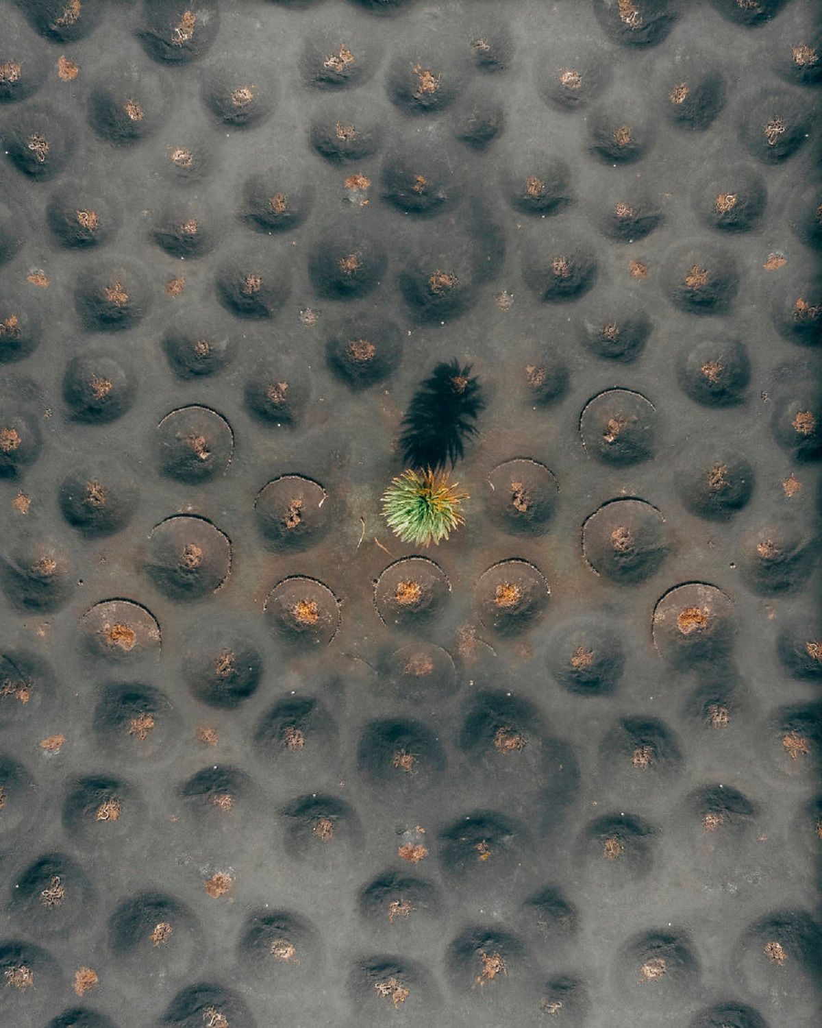 Неймовірні пейзажі Канарських островів - фото 1