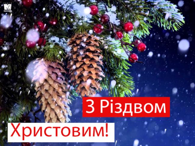 Картинки з католицьким Різдвом 2022: листівки і відкритки на 25 грудня - фото 375811