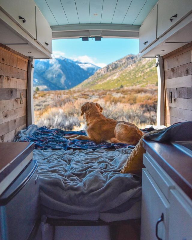 Дівчина кинула роботу заради подорожей в фургоні: ефектні кадри - фото 376047