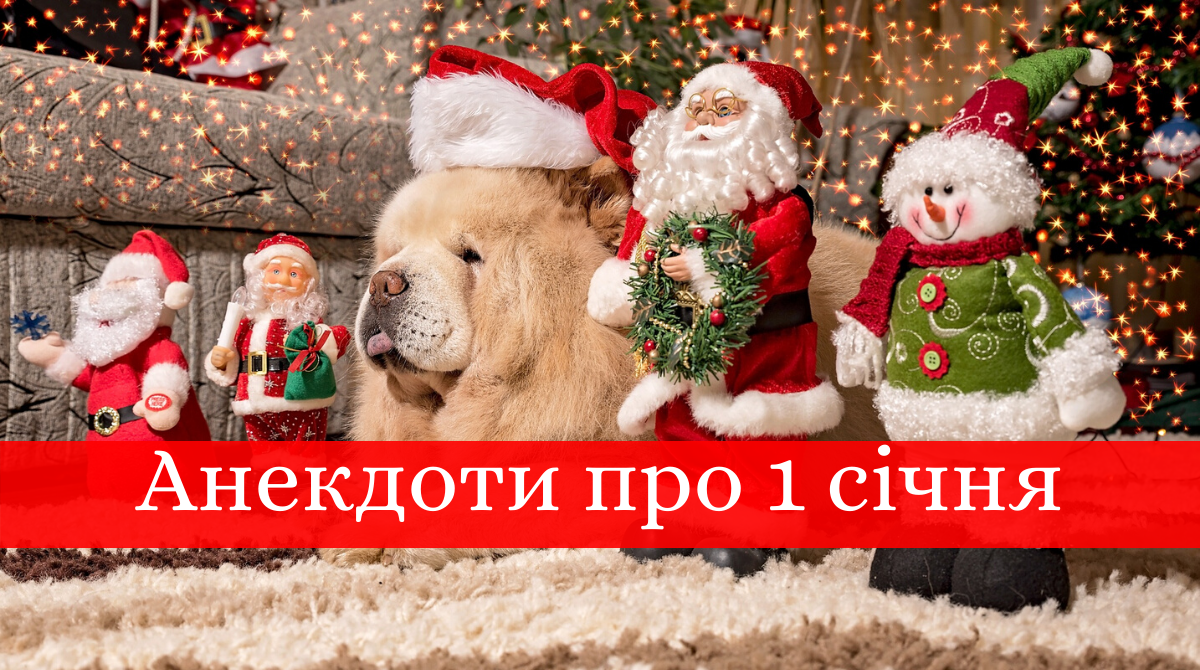 Новорічні приколи: анекдоти й жарти, які піднімуть вам настрій 1 січня