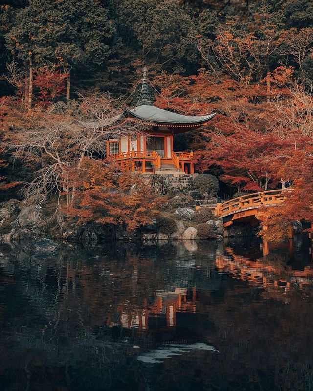 Яскраві фото американця показують, чому варто мандрувати - фото 376244