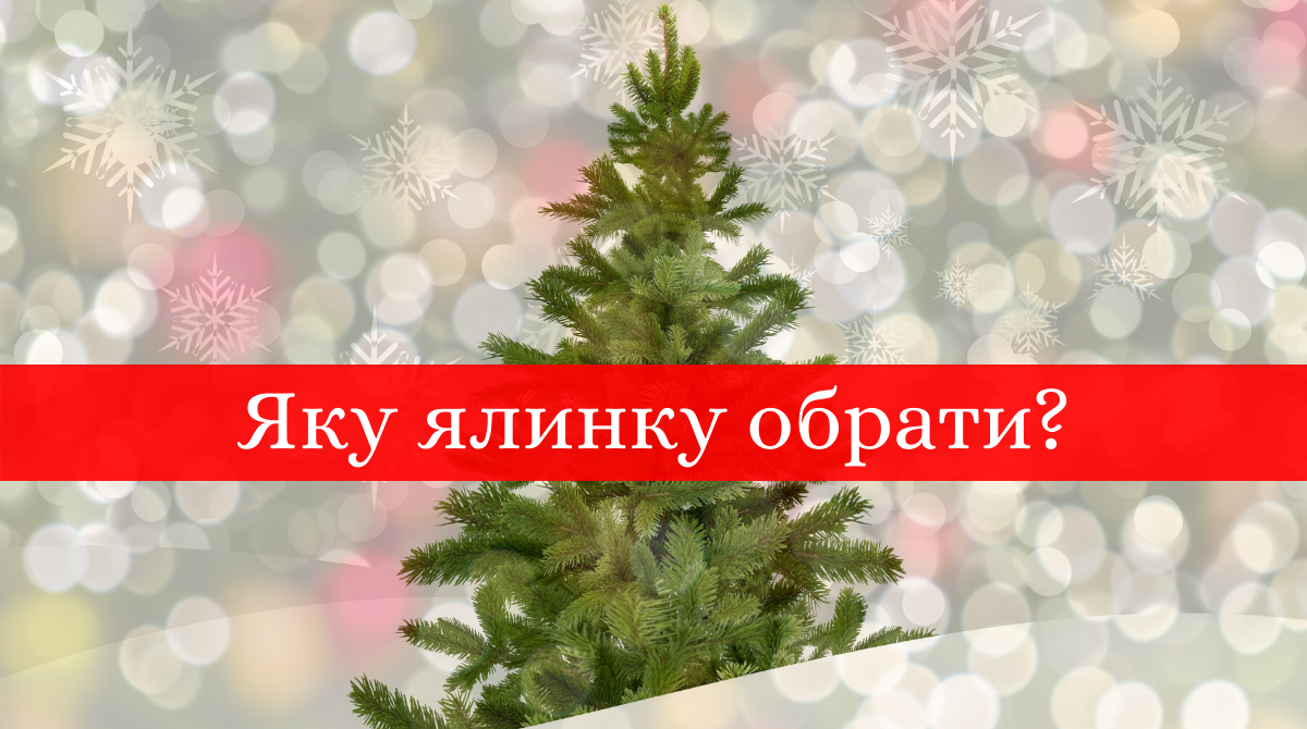 Не жива і не штучна: які ялинки на Новий рік є справді екологічними