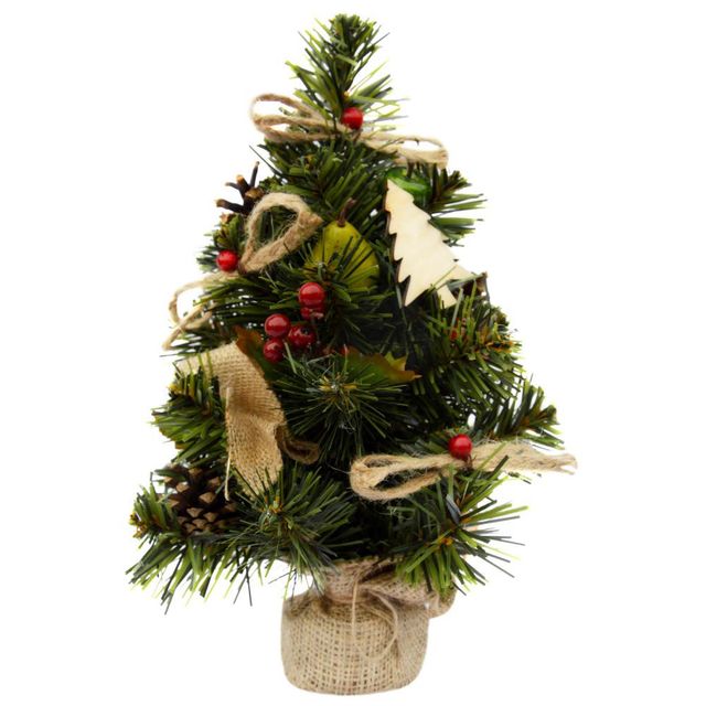 Не жива і не штучна: які ялинки на Новий рік є справді екологічними - фото 376522