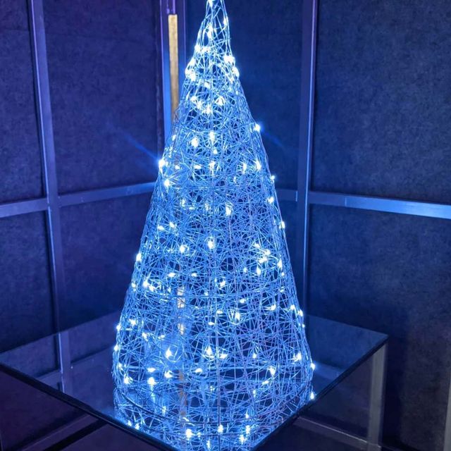 Не жива і не штучна: які ялинки на Новий рік є справді екологічними - фото 376531