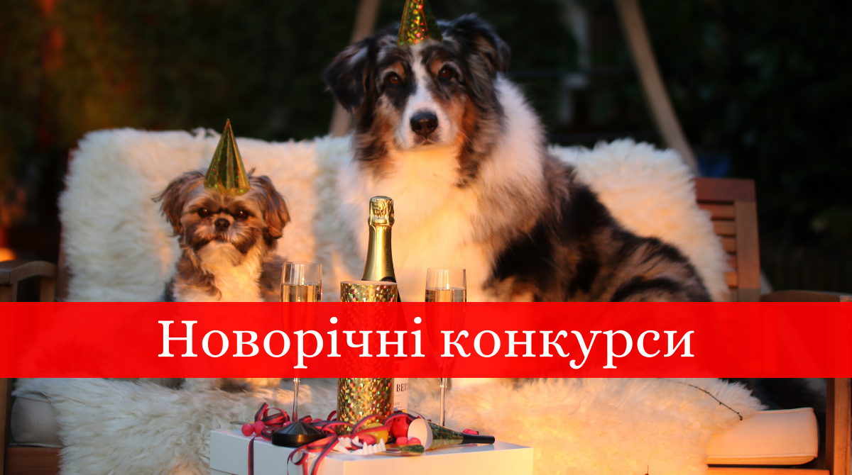 ігри та конкурси на Новий рік - фото 1