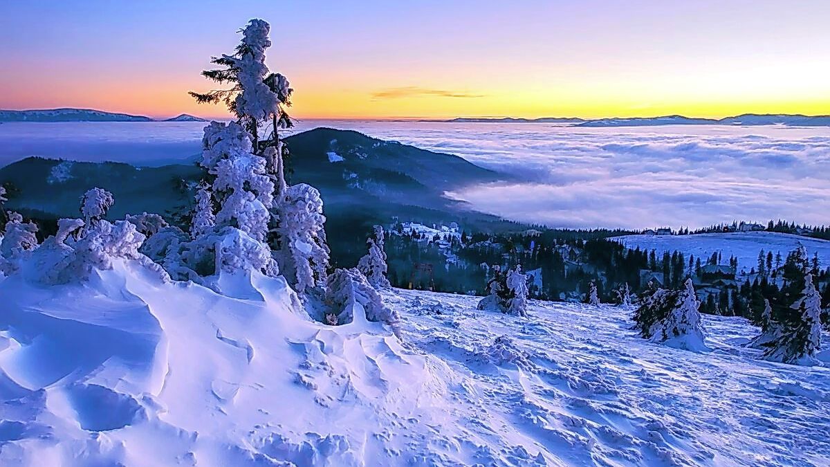 Засніжені Карпати у свіжих фото і відео