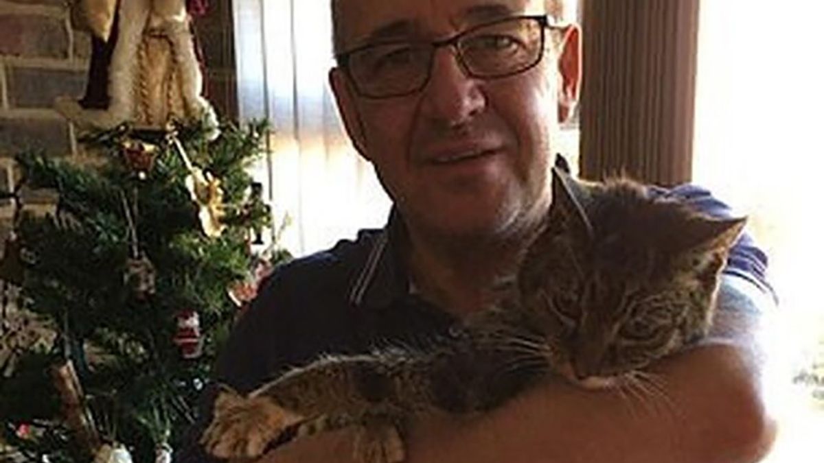 Кіт-мандрівник повернувся додому через сім років: фото