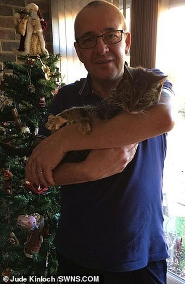 Кіт-мандрівник повернувся додому через сім років: фото - фото 376933