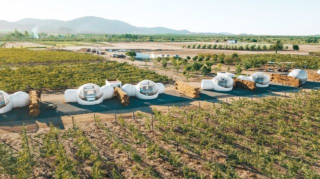 ТОП 10 готелів для справжніх поціновувачів природи - фото 377116