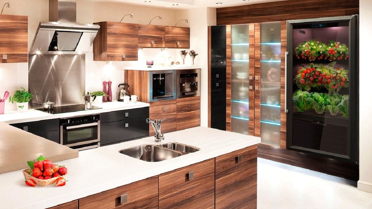 Представлено "розумну" шафу для вирощування овочів прямо на кухні