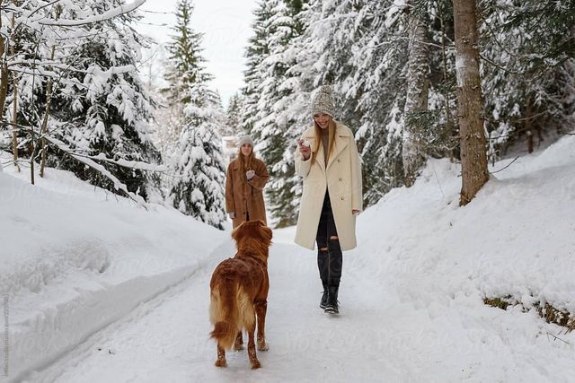 Зимове взуття має бути стійким і теплим - фото 377336