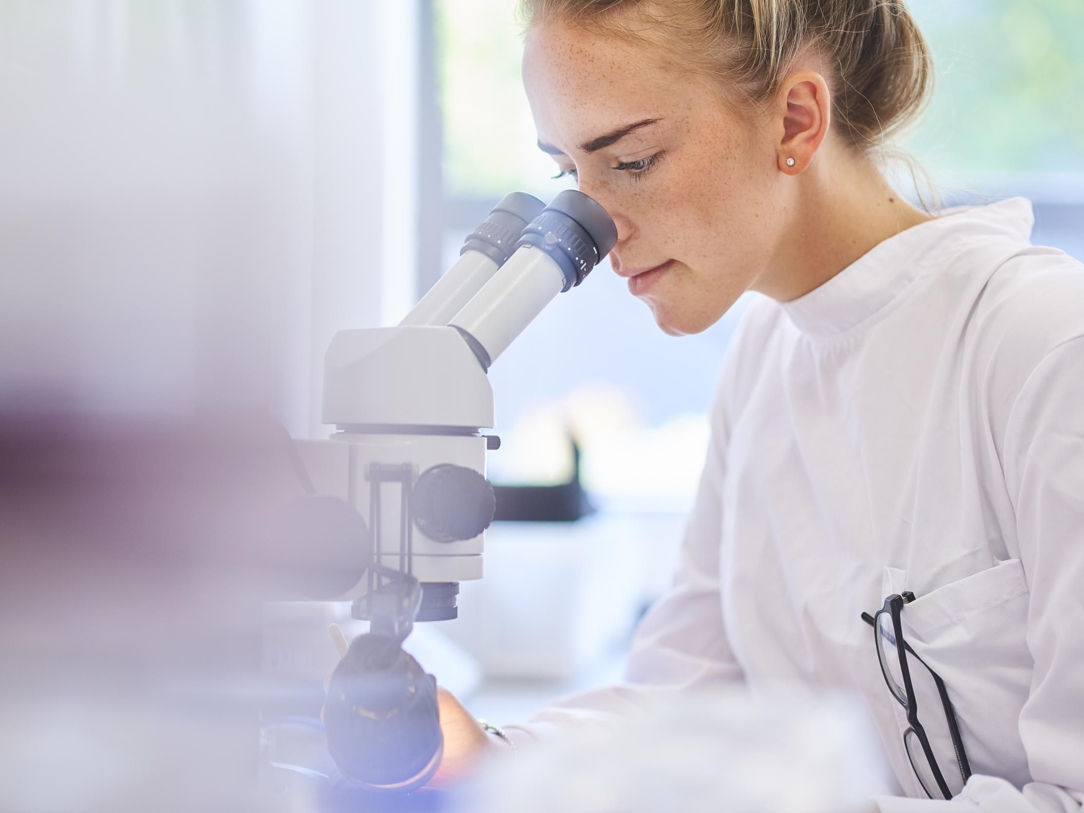 Риба не допомогла: у древніх мумій виявили ознаки атеросклерозу