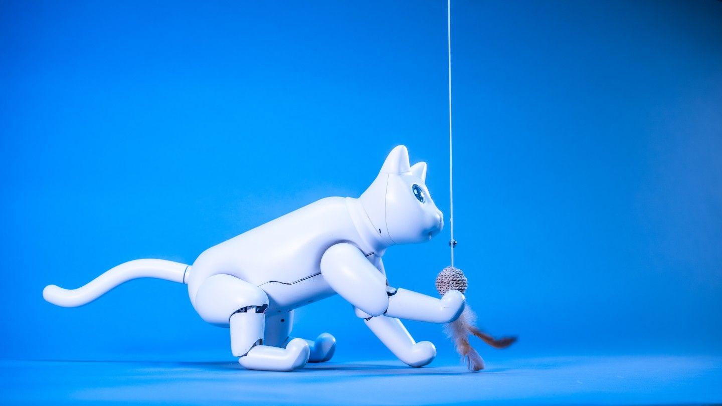 MarsCat - фото 1